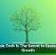 Scalable Tech Is The Secret to Sustainable Growth